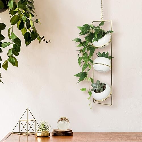 Miniatura 3 de JACKCUBE MK631A - Maceta colgante para plantas de interior, planta de techo vertical bohemio, colgador de metal dorado con 3 mini macetas de