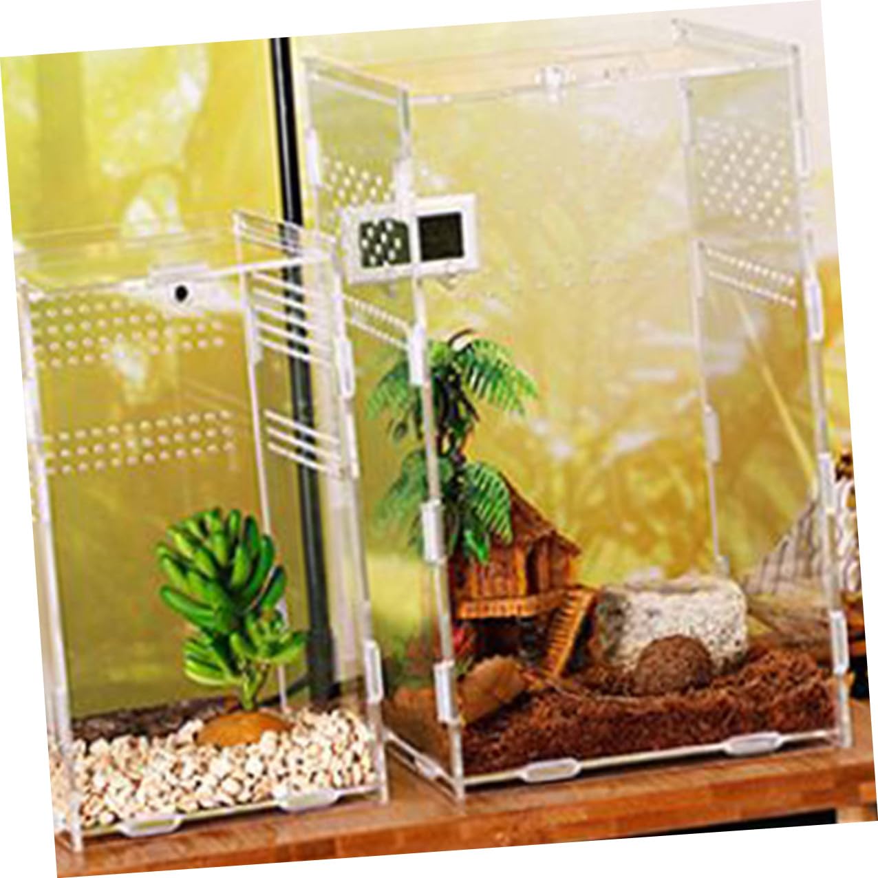 DOITOOL Magnetische Reptilien Futterbox aus Acryl 360° Transparentes Mikro Terrarium Konstante Luftzirkulation für Geckos und Schildkröten
