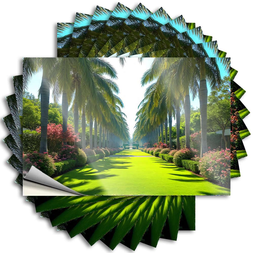 Bumper Unique Small Case A Vibrant Pathway Lined with Palm Trees - No Residue Decals for Motorcycle(12X18CM)