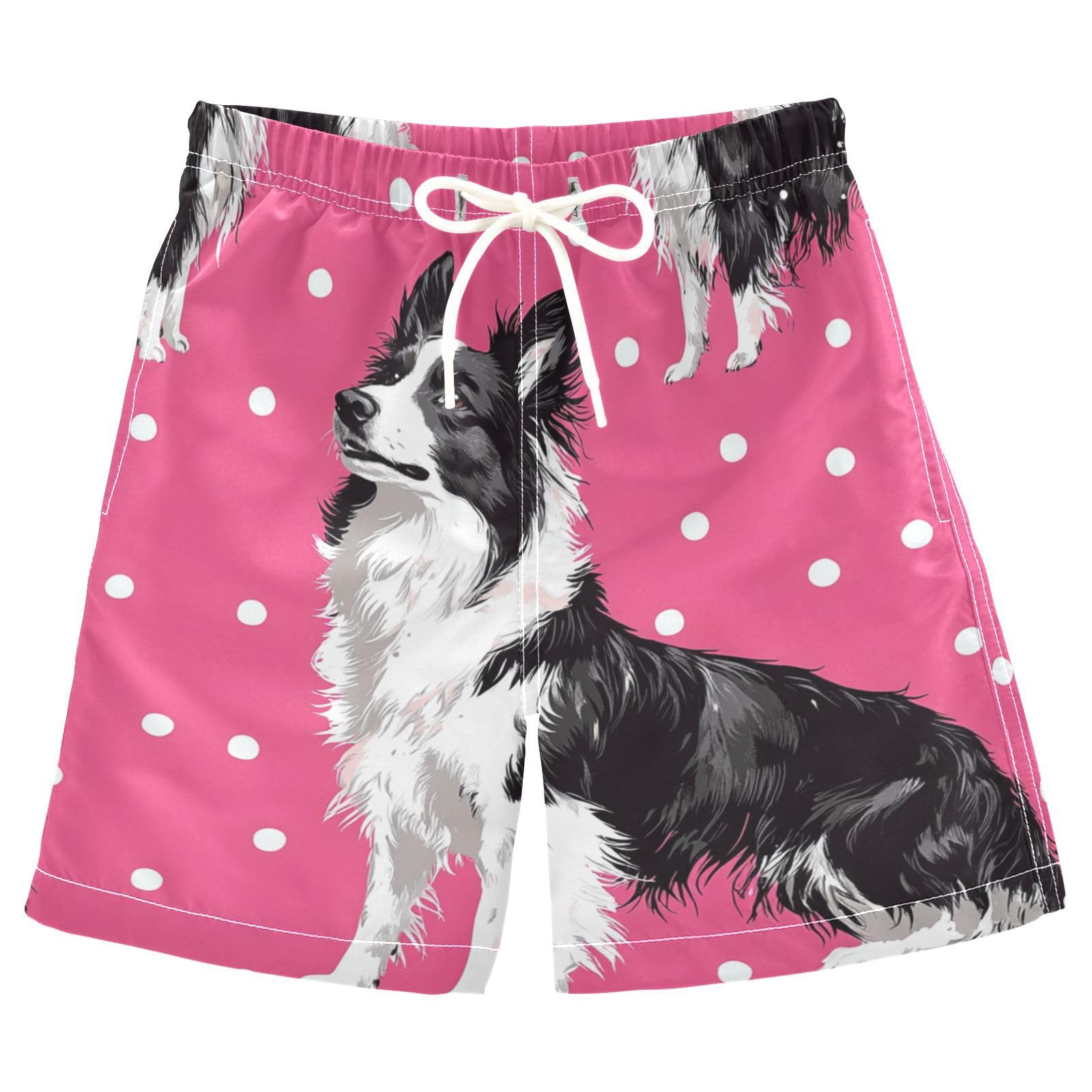 Jucciaco Boys Beach Board Shorts Collie Shepherd Dog Swim Trunk Teen Swimwear Multicolor