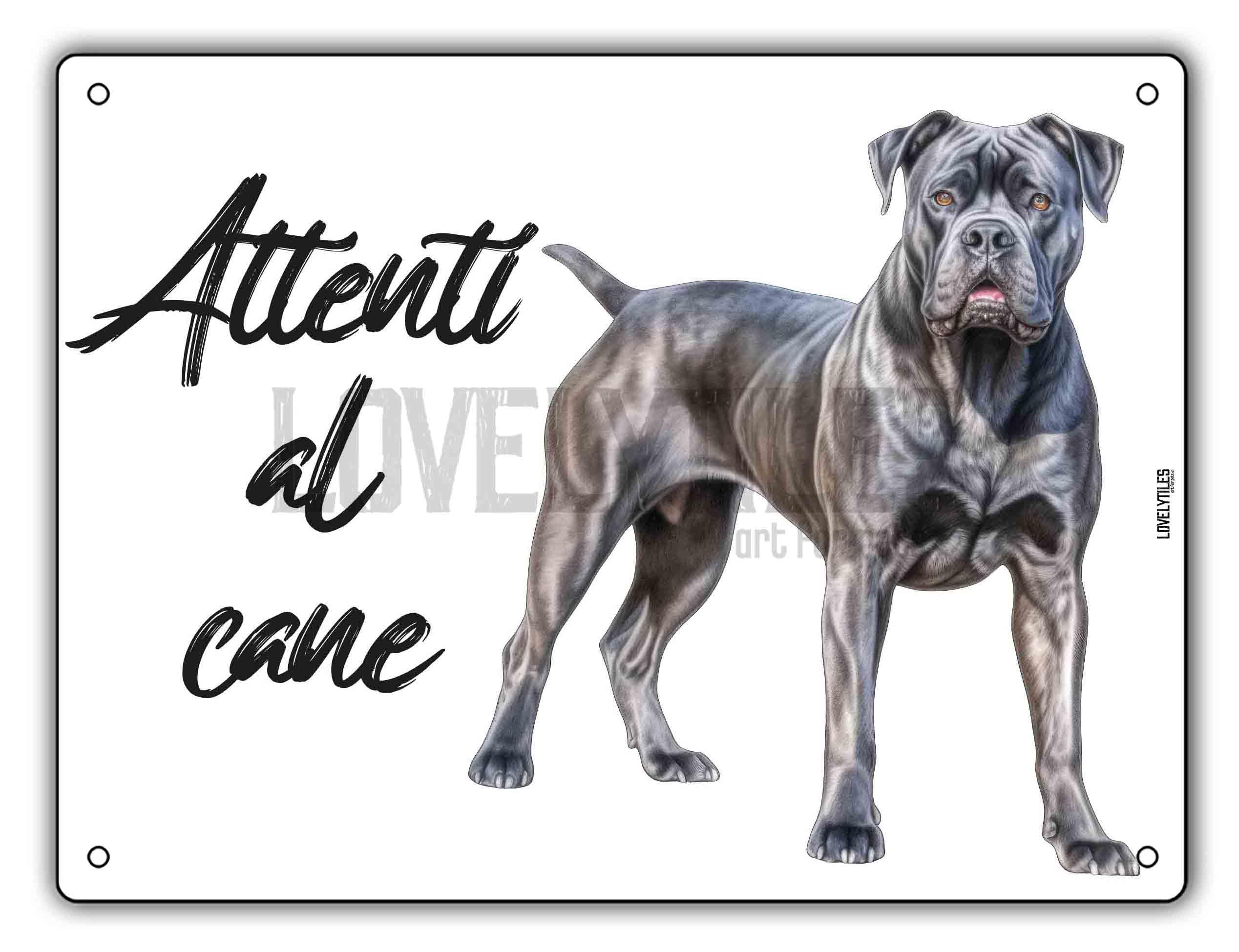 Cartello Attenti Al Cane In Metallo Con Stampa UV &ndash; American Bully, Resistente A Pioggia E Sole, Misure 20x30 Cm