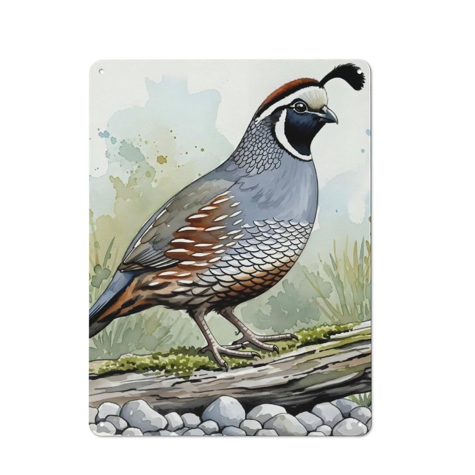 Junmoney Watercolor California Quail Illustration Tin Sign 40X30cm With For Café Or Home Bar, Rustic Decor, For Café-Style Decor Fans