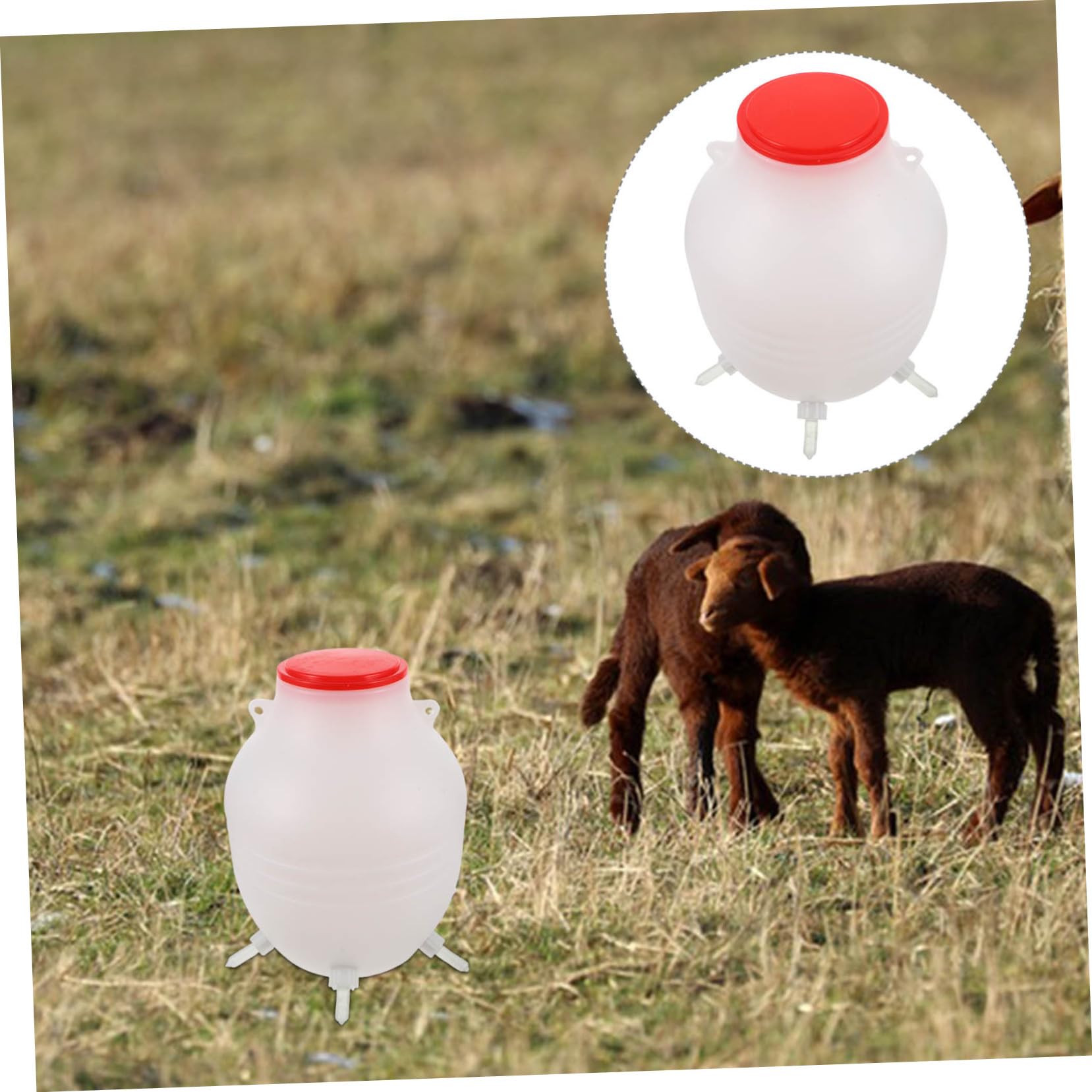 Biberon per Agnelli Lattazione Veterinario 1 Pz Plastico Bianco | Pecore e Allevamenti, Alimentazione Rapida, Imitazione della Suzione Naturale, Facile da Riporre