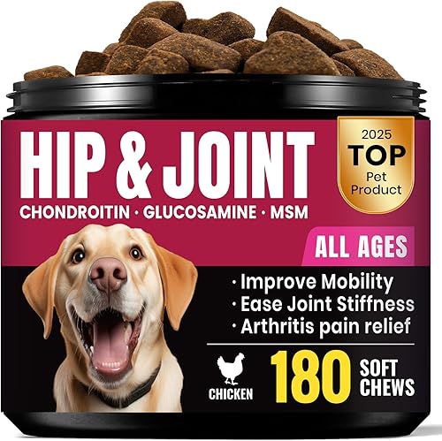 Glucosamina para perros  Suplemento masticable para cadera y articulaciones para personas mayores y de razas grandes, suplemento articular para