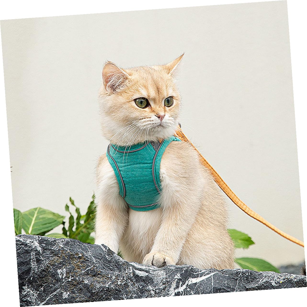 Ipetboom 3 Set Di Guinzagli Per Gatti Con Gilet E Cinghia Per Trazione Facili Da Indossare in Comodo Materiale Scamosciato.