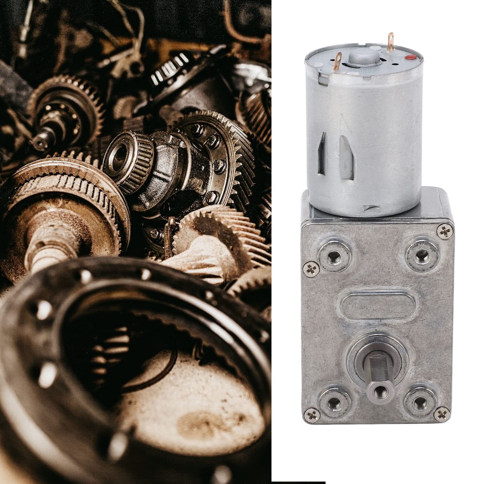 DC 24V Getriebemotor 10 U/min | Doppelwellen Schneckenmotor | Selbsthemmend