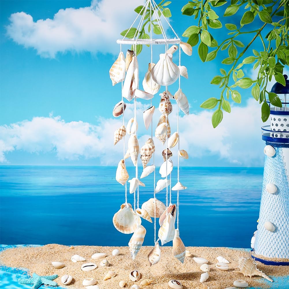 PH PandaHall 115125pcs Natural Sea Shells Ocean Spiral Seashells Craft Shell Charms Mixed Beach Seashells for Summer Beach Bracelet Necklace Jewelry DIY Craft Making Home Decor Vase Filler - Image 5