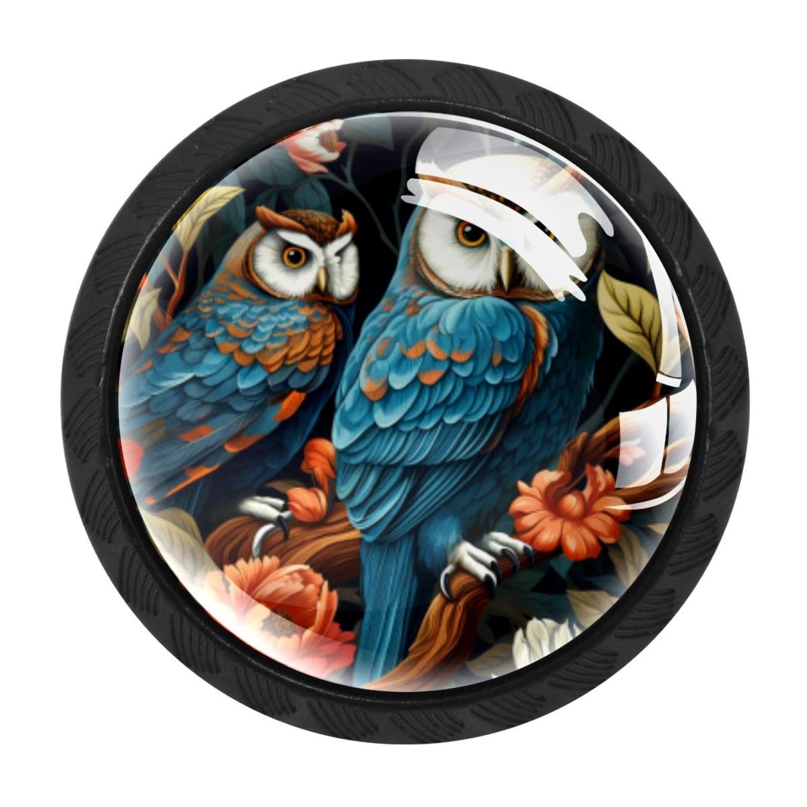 Chenzzzz Multicolored 12 4 Pack Round Cabinet Knobs For Kitchen Bathroom Closet Dresser Cabinets, Owl