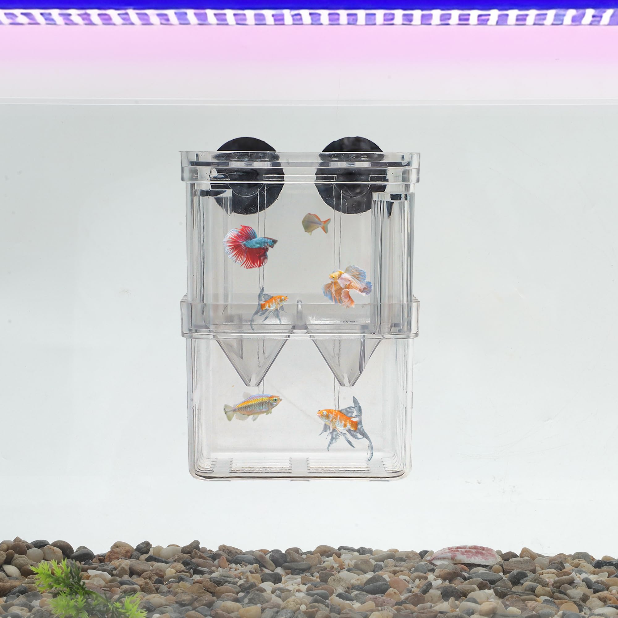 CAPASTEC Fish Breeder Box, Easy-to-Use Breeder Tank Divider, Breeder Box for Fish Tank Versatile Breeder System, S, Clear, 1 Set - Image 2