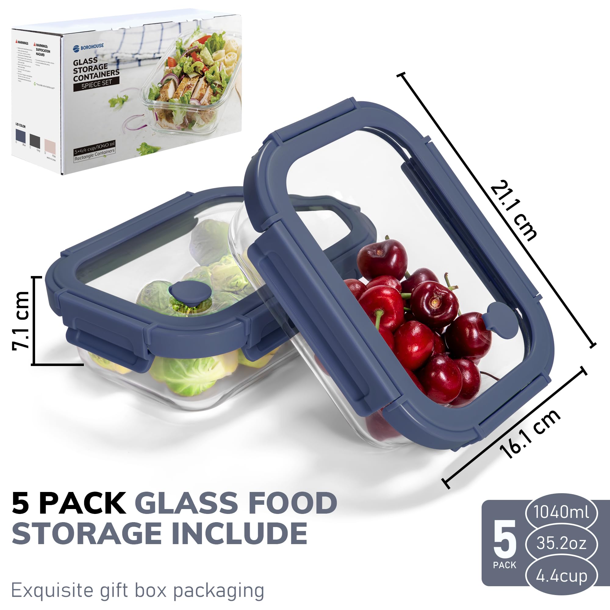 Glass Food Storage Containers With Snap Lock Lids | Set Of 10