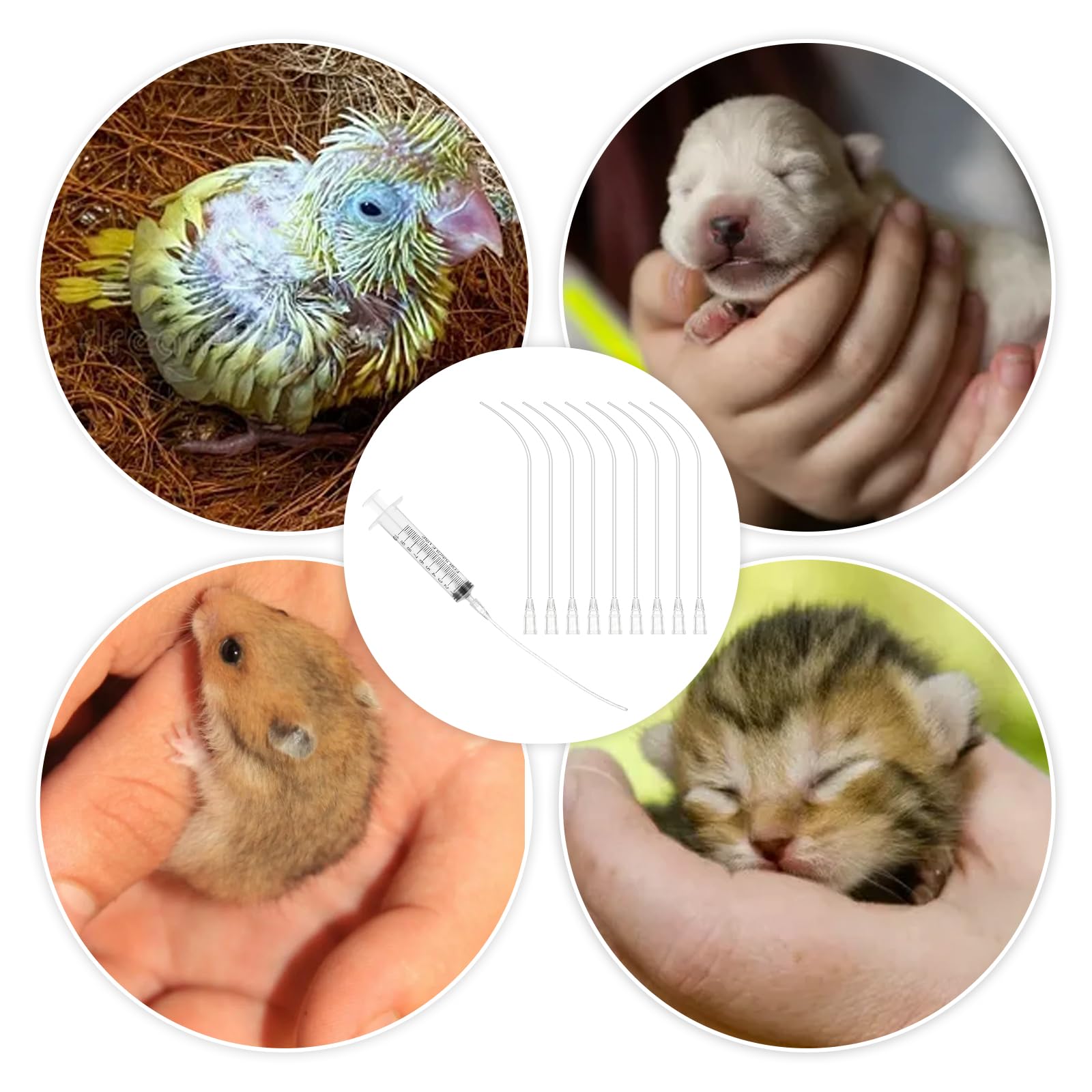 JIEYAO 10 sztuk wężyk do karmienia młodych ptaków, 2 szt. strzykawka 10 ml z wężem, gołębie, akcesoria, karma, strzykawka do karmy, kaniula, guziki, narzędzie do karmienia dla niemowląt, ptaków, papug