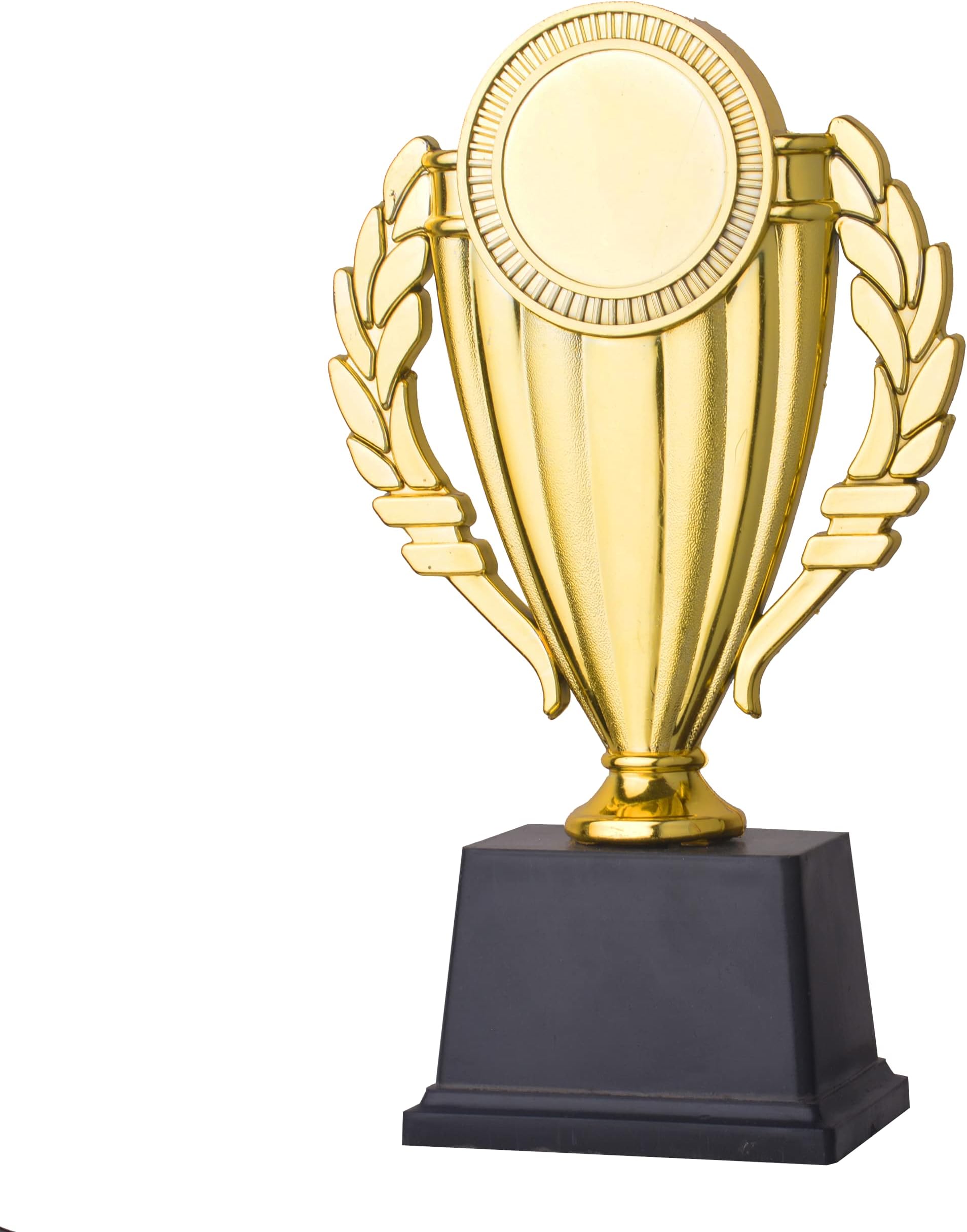 TMW Trophies for Every one for There Performances Award Trophy Gift Home and Office Decoration