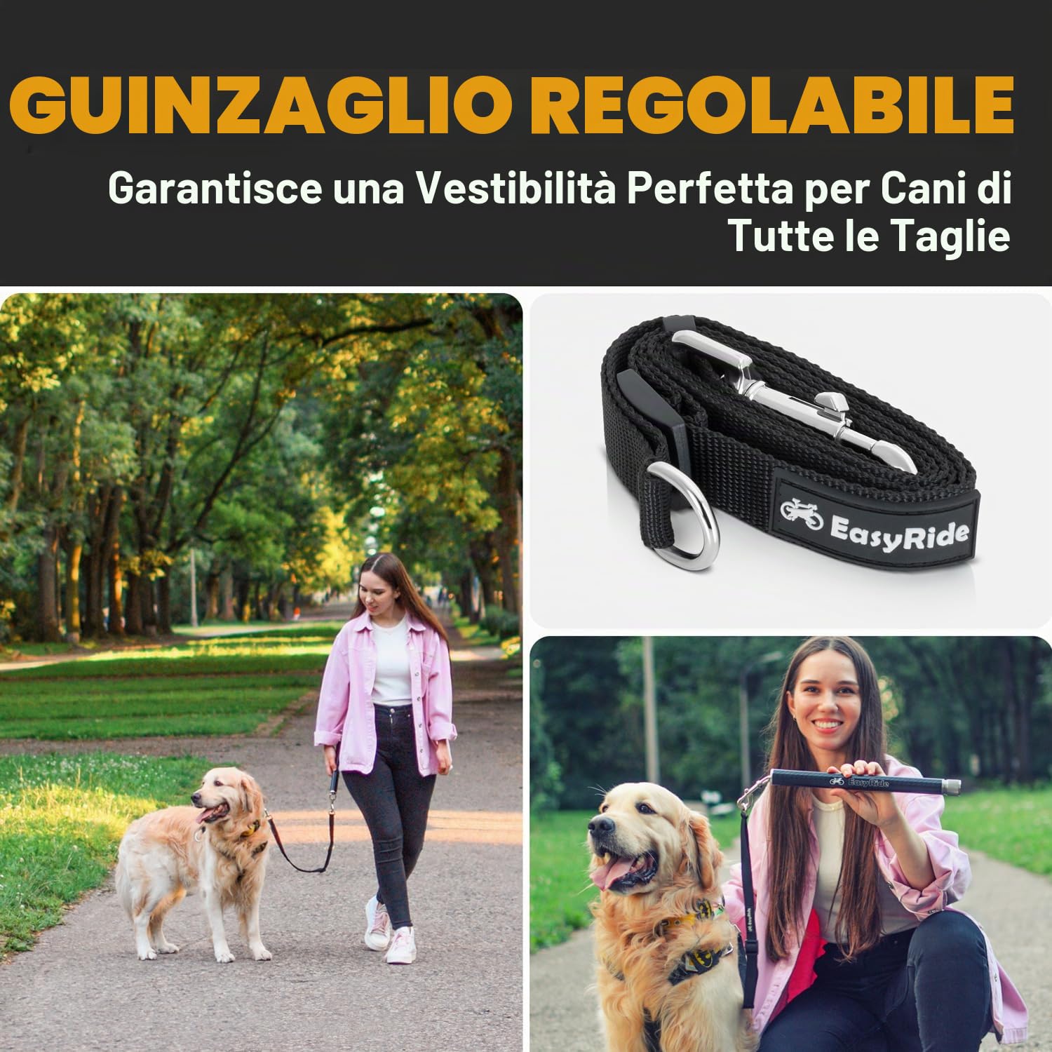 V2.0 - Guinzaglio per cani da bicicletta girevole a 180° - ammortizzatori e meccanismo di attacco rapido | Fibra di carbonio Staccabile, regolabile per una guida più fluida