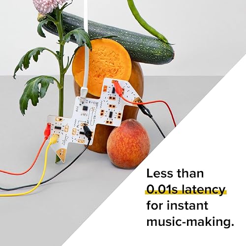 Miniatura 5 de Controlador MIDI Playtron, conecta hasta 16 objetos conductivos y convierte todo, desde frutas hasta metal en un instrumento musical Soundbrenner