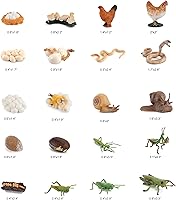 Vista 2 de Figuras de animales, 20 juguetes de insectos, modelo de ciclo de vida de acción, juguete de figuras de insectos de plástico, juguetes educativos