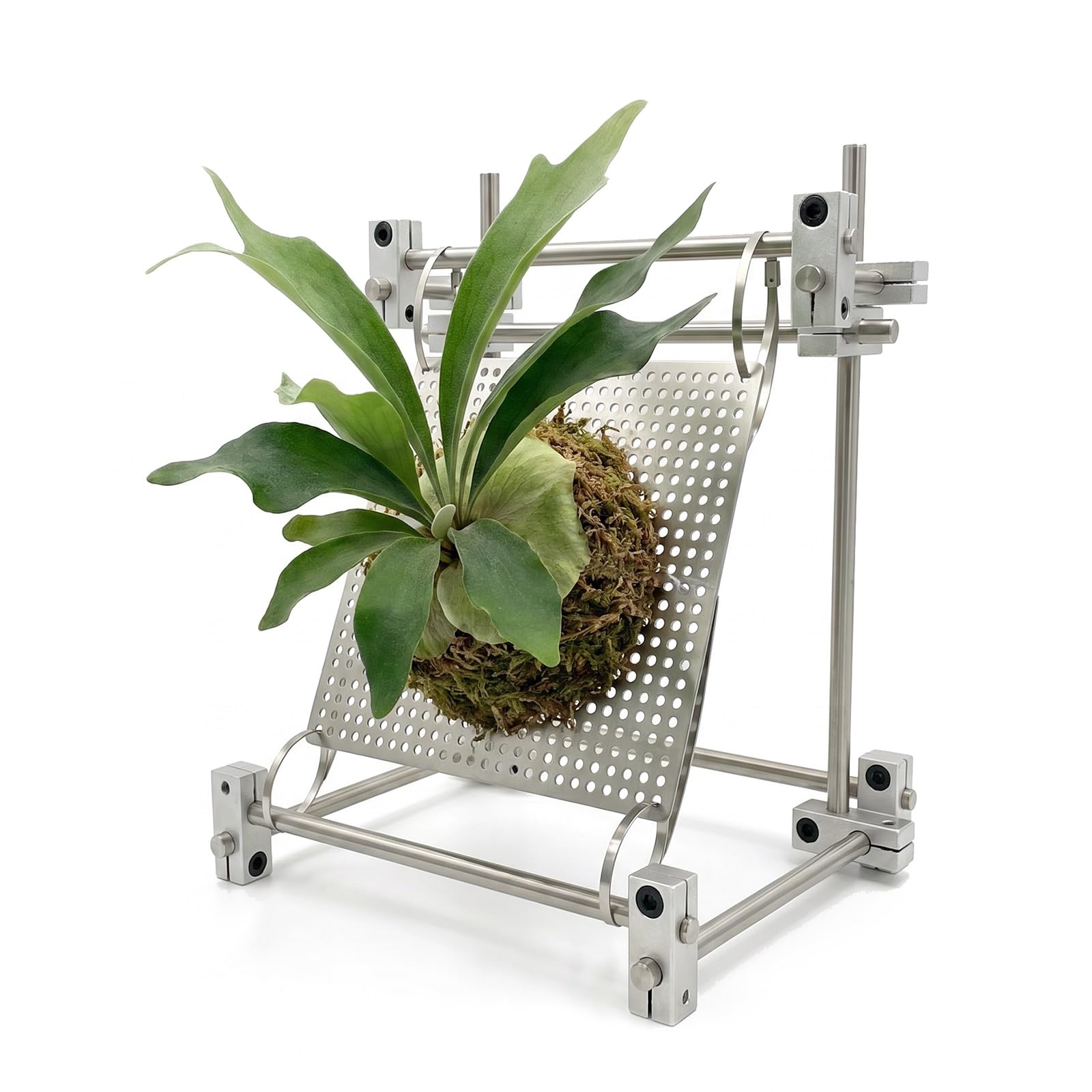 Staghorn Fern deska montażowa, stojak na rośliny stojące, stojak na rośliny ze stali nierdzewnej, dekoracja ogrodowa do użytku wewnątrz i na zewnątrz