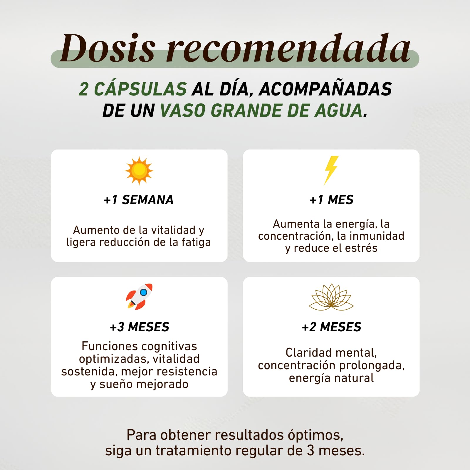 French Mush Complejo 5 Hongos Bio - 168 Cápsulas Veganas | Bienestar, Vitalidad y Digestión, Shiitake, Melena de León, Reishi, Cordyceps, Chaga, Fabricado en Francia