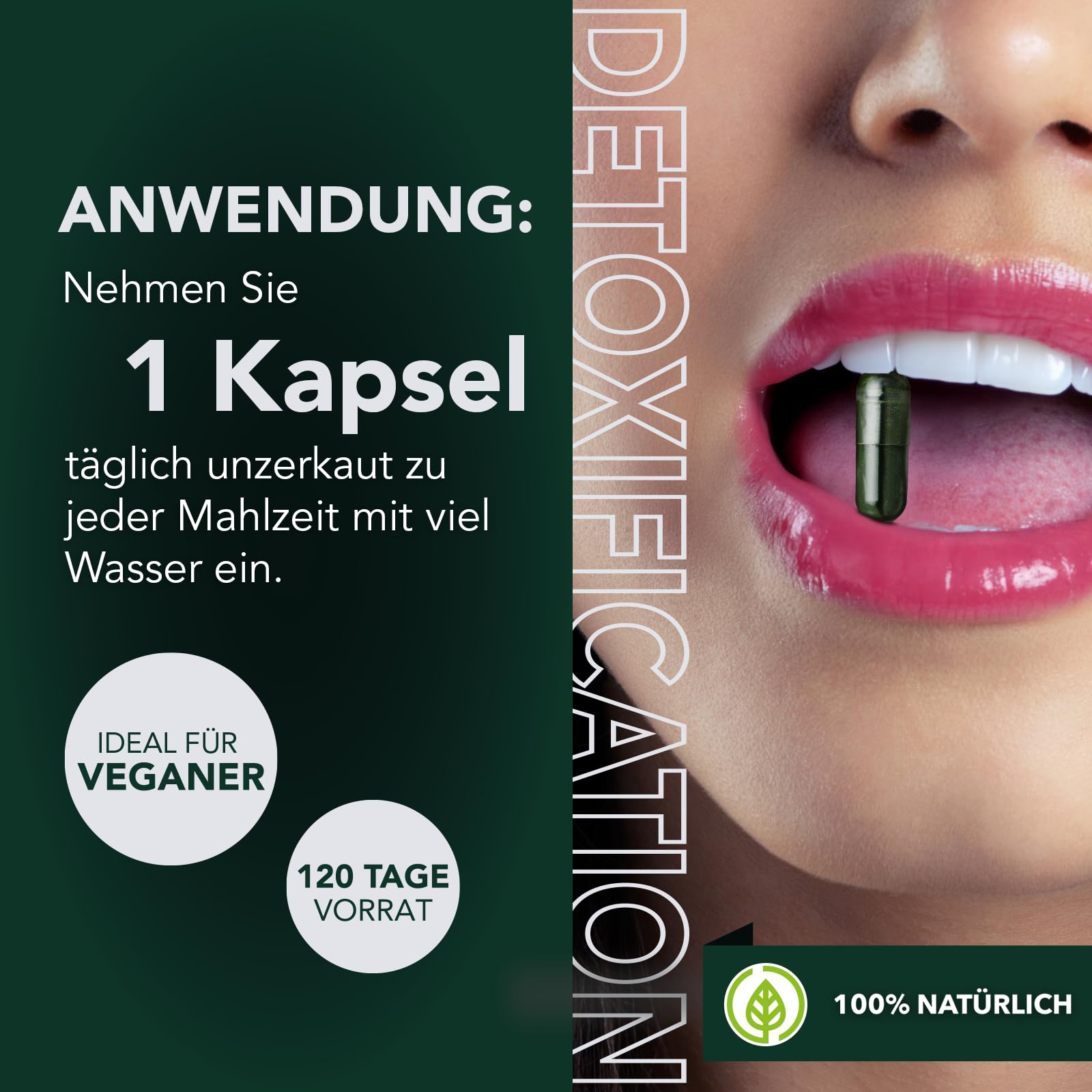 Saint Nutrition® Spermidin Kapseln – Hochdosiert mit 6mg Spermidin pro Kapsel – aus natürlichem Spirulina Algenpulver & Chlorella Extrakt – Unterstützt Zellschutz, Zellregeneration & Vitalität