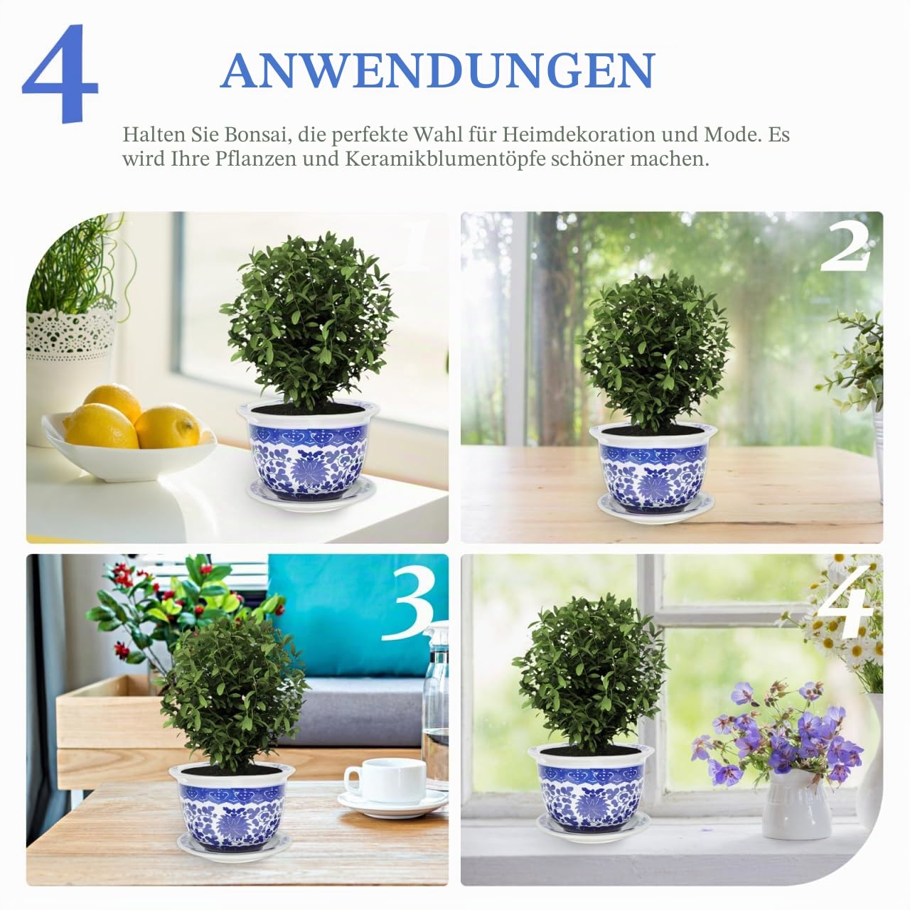 Cabilock Blau-weißer Blumentopf Aus Porzellan Kinderzimmer Blumenbehälter Kaktus-starttopf Töpfe Topf Für Schlangenpflanzen Orchidee Blumentopf Pflanzschale Haushalt Gang Büro Keramik
