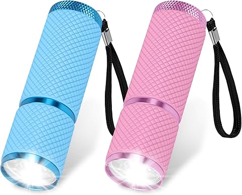 AXFEE 2PCS Mini Linterna LED, Linternas Pequeña de Aleación de Aluminio Resistente al Agua, con Cordón y Mango Brillante,Linterna Infantil,2 Colores,para Camping,Senderismo,Emergencia,Regalo