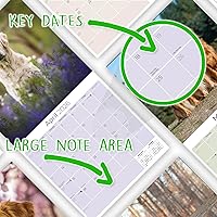 Vista 203 de Razas de Perros 2017