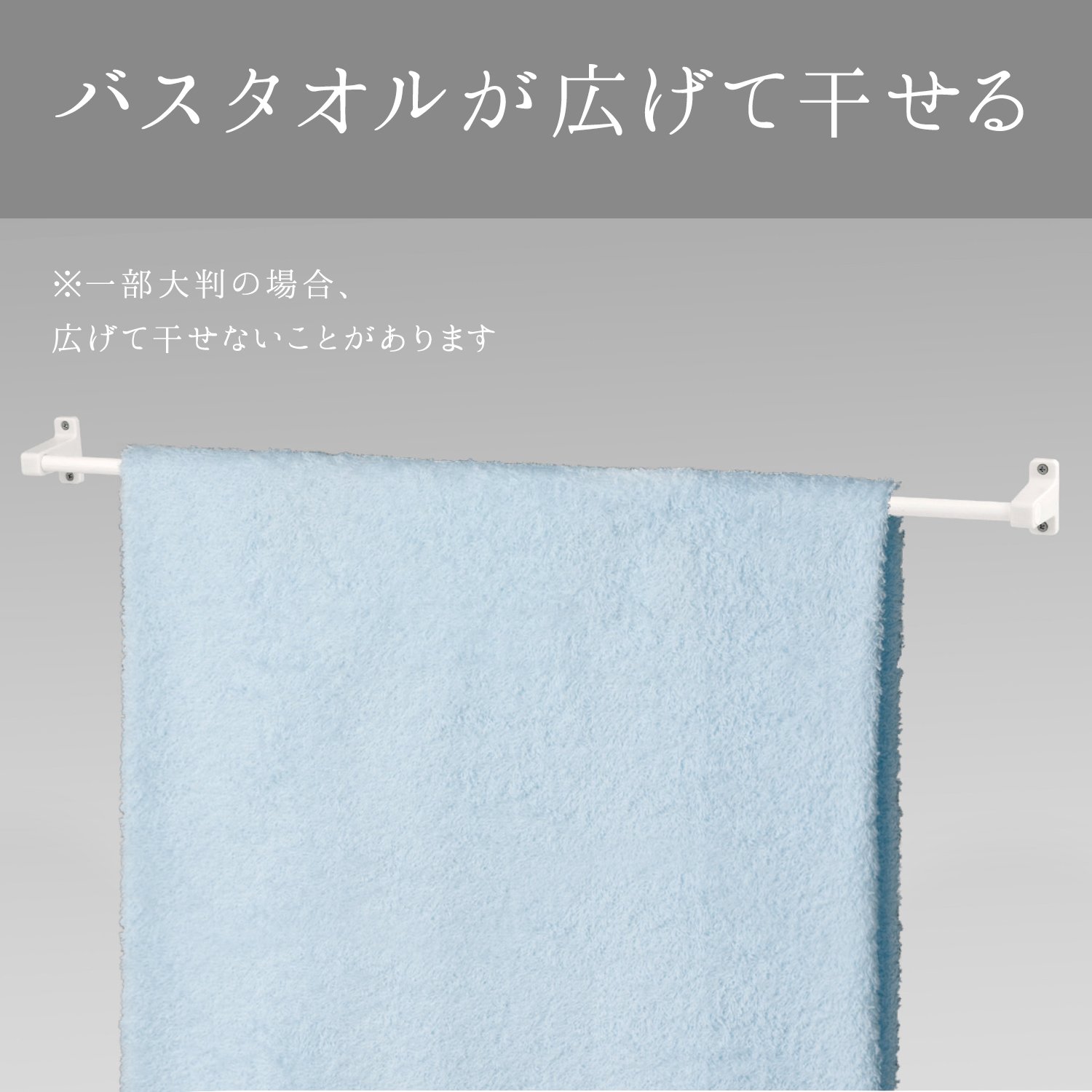 Amazon.co.jp: レック タオル掛け 70 (木ネジ) 全長68cm B00049 : DIY
