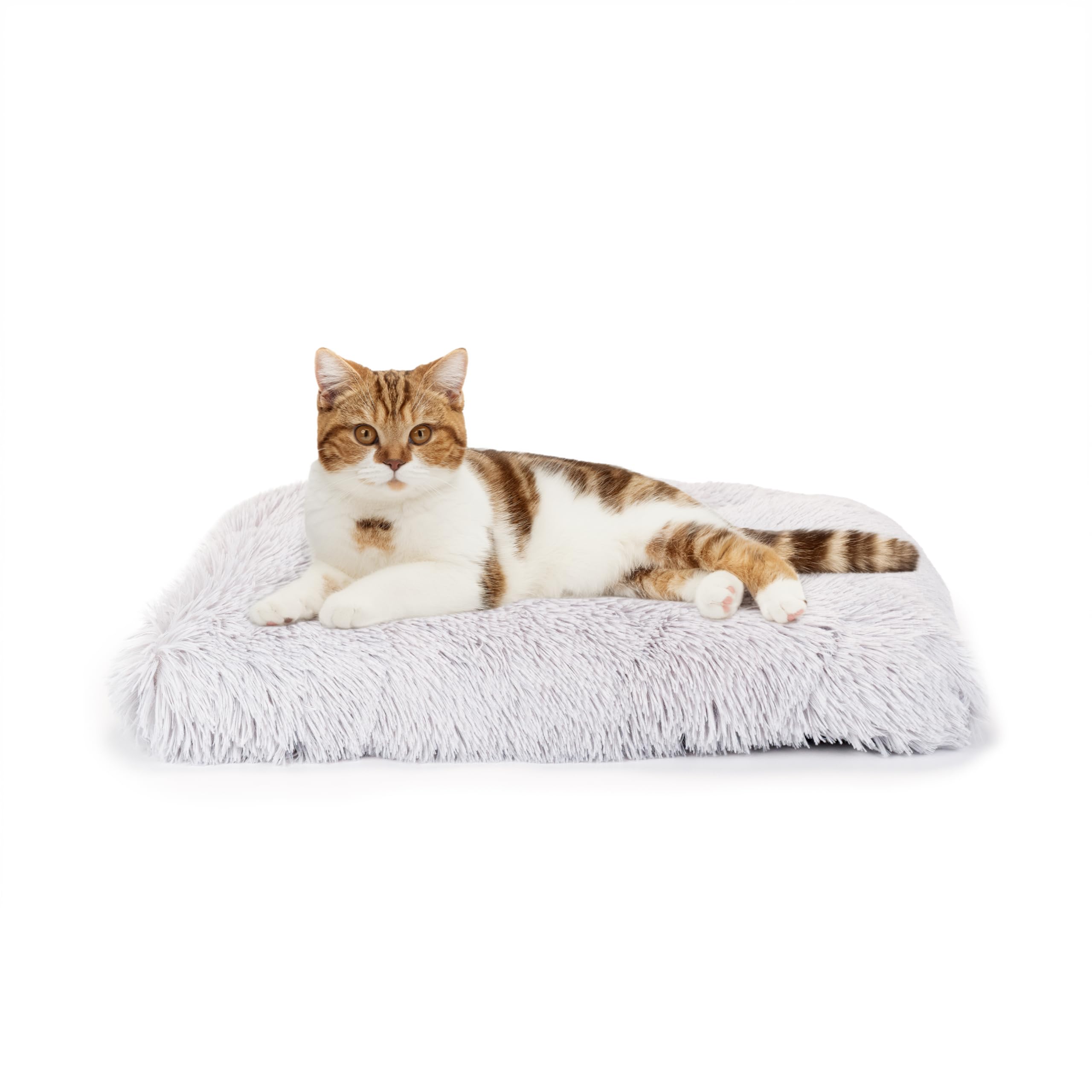 Ferplast Dog Bed Indoor Cushion for Dogs Soft in Long Fur, Cat Cushion Super-Padded Bed Extra Comfort and Warmth, 65 x 40 xh 12 cm