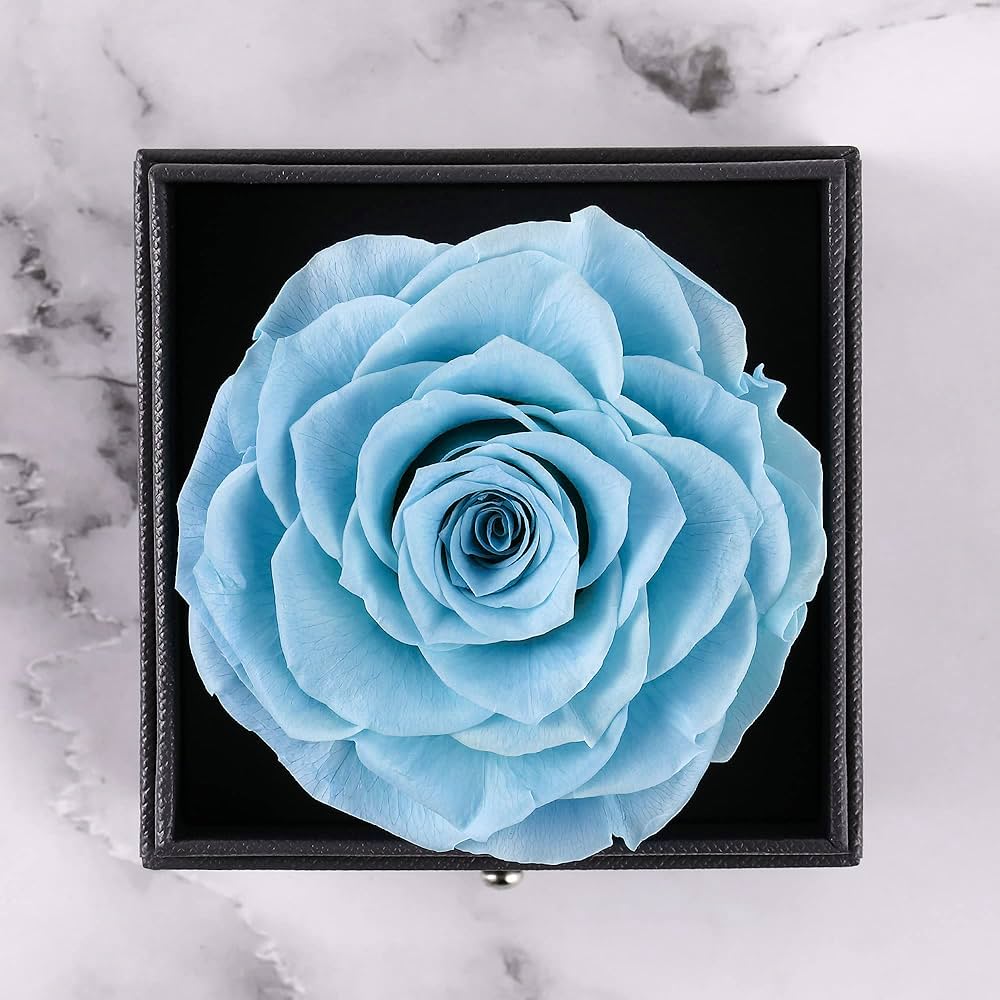 Fleur Éternelle JEWELRY CASE MINI BLUE NEWUPZSI Rose Éternelle Bleu idee Cadeau Noël Maman Femme