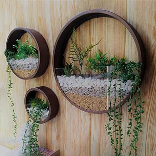 Amazon.es: Amazon Warehouse - Jardinería: Jardín