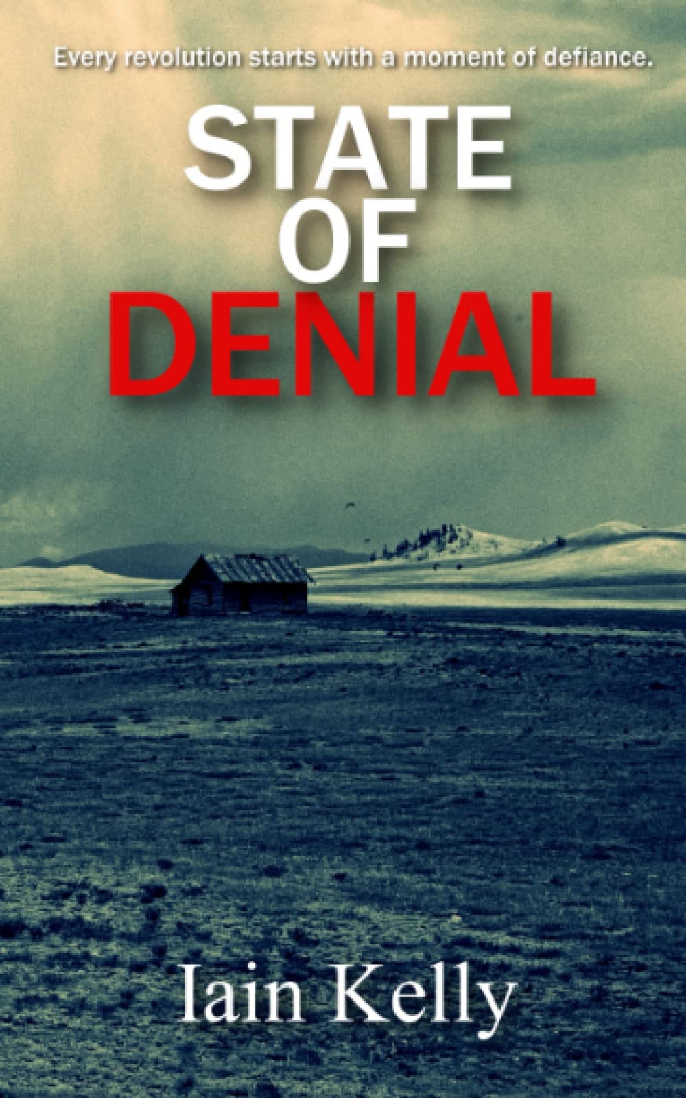 State Of Denial (The State Trilogy)