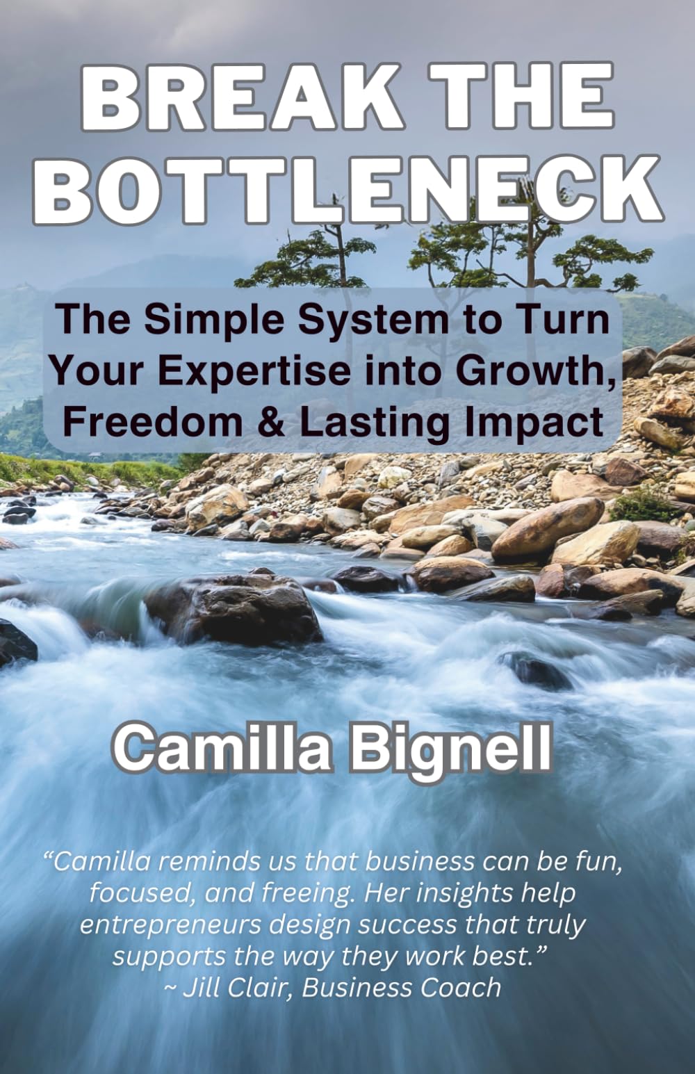 Break the Bottleneck: The Simple System to Turn Your Expertise into Growth, Freedom & Lasting Impact
