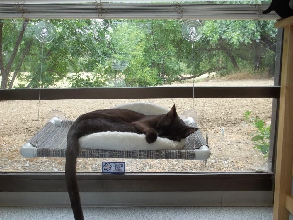 review Original World's Best Cat Perch (Large) Black Color