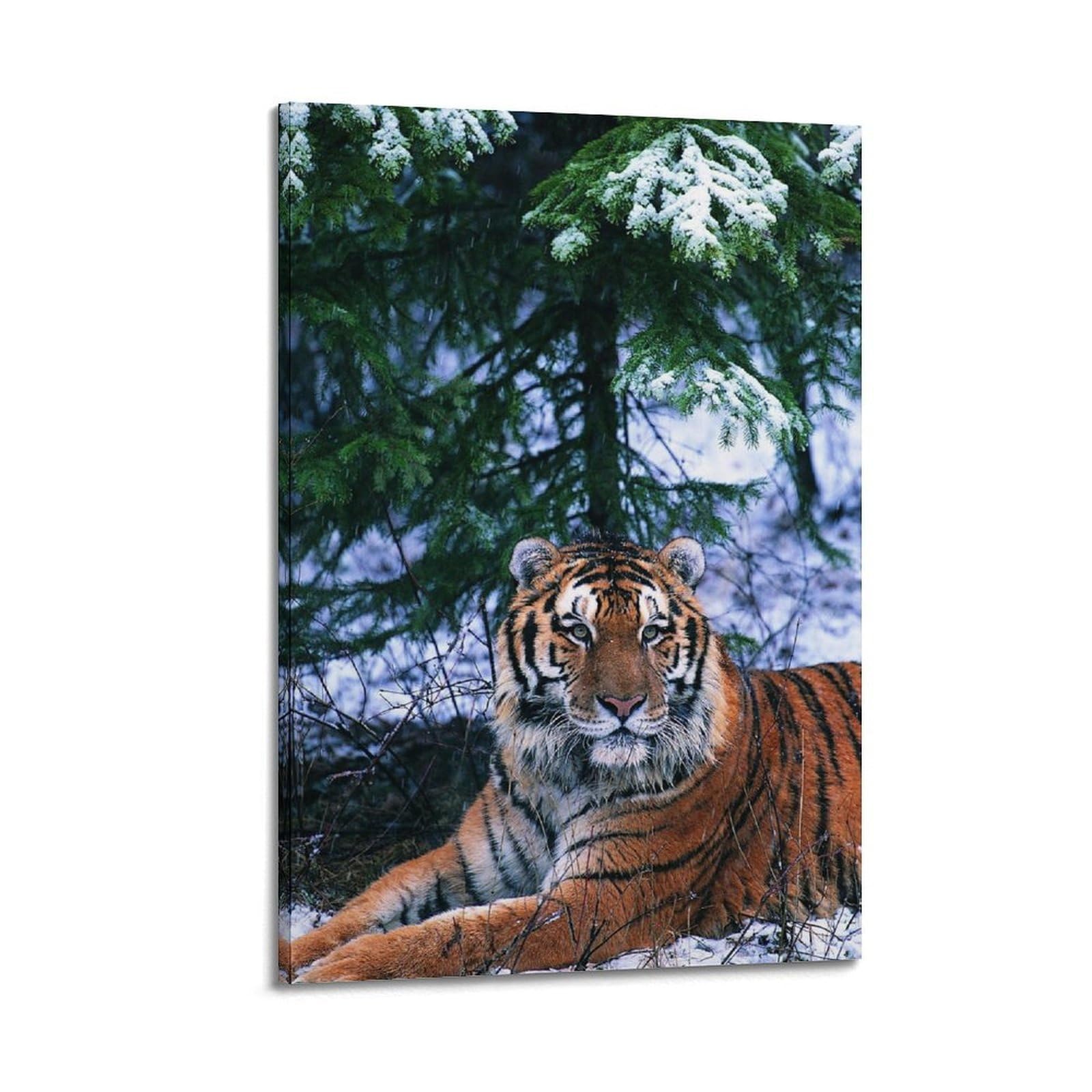 Xkuga Boys Frame-Style Animal Poster Wildlife Vintage Winter Forest Siberian Tiger Modern Decorative Canvas Prints - Ideal Wall Art For Family, Man Cave, Game Room, & Girls Bedroom 20X30inch(50X75cm)