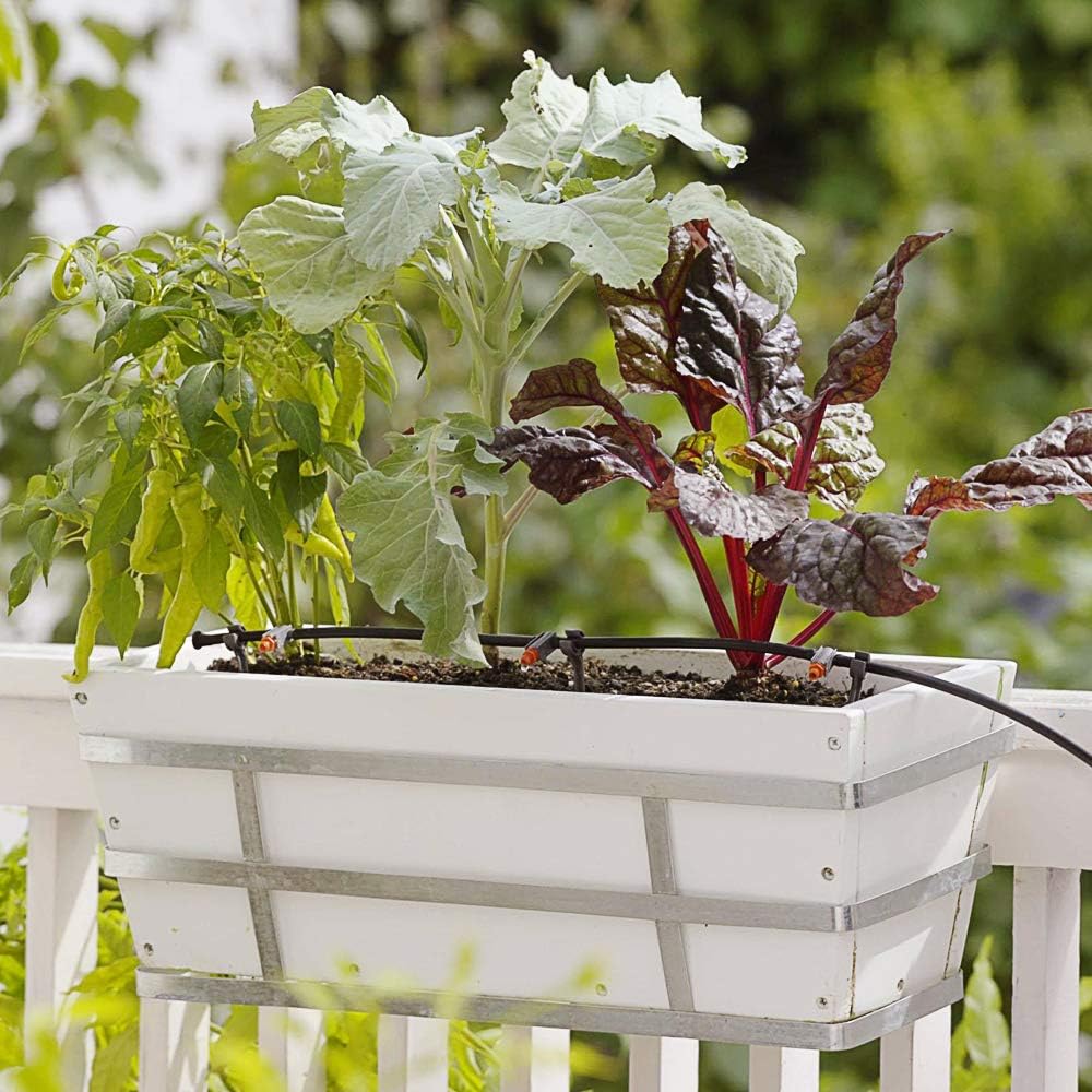 MultiOutools Distribution Tubing 3/8 inch Drip Irrigation Tubing Hose, 50FT Heavy Duty Drip Irrigation Kit for Lawn Garden Watering (3/8” tubing 50FT, Black) : Patio, Lawn & Garden