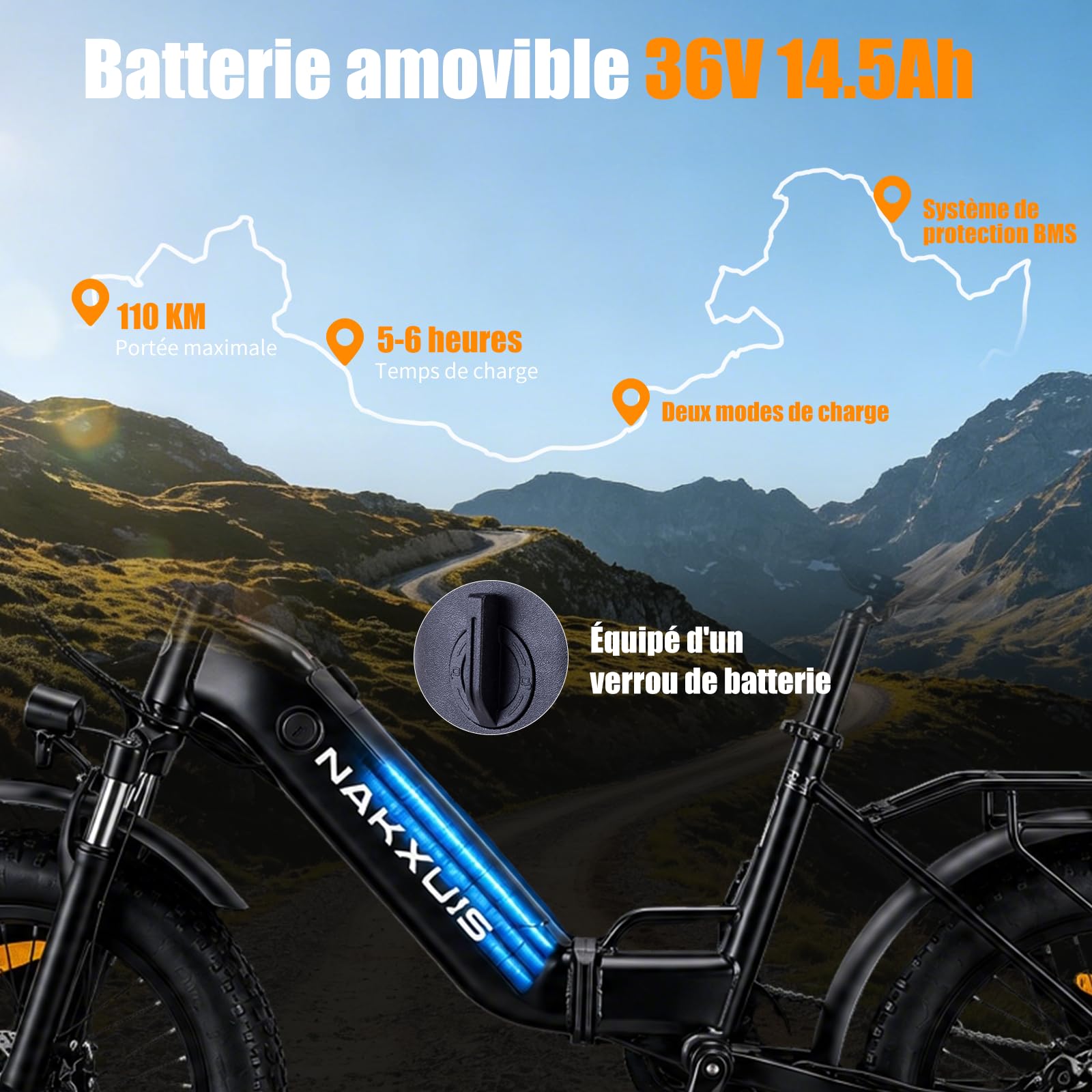 20F213 Vélo Électrique Pliable, E-Bike à Gros Pneus, Moteur 250W, Batterie Amovible 36V 14.5Ah, Autonomie 110 km, 7 Vitesses, IPX7