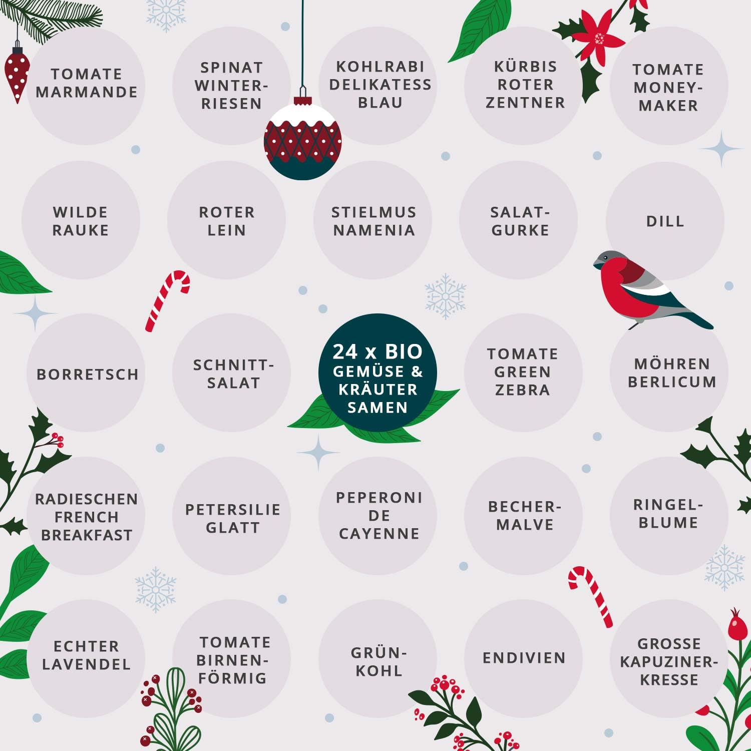 BIO Saatgut Adventskalender "Historische Sorten", 24 x alte Gemse und  Kruter Samen, Samen Set mit Saatgut Raritten : Amazon.de: Garten