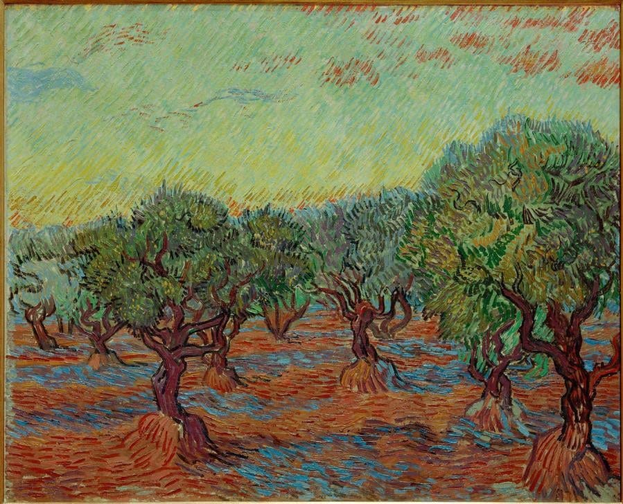 Affiche Toile Olivenhain Vincent Van Gogh impression d'art portrait décoration murale 60x90cm