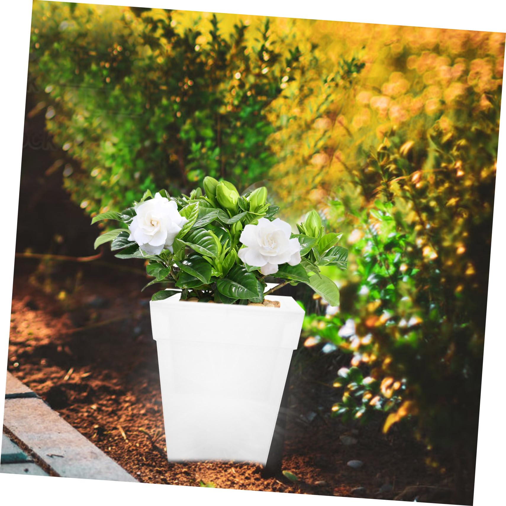 LIFKOME Fioriera Da Esterno Solare Quadrata in Plastica Vaso Luminoso Bianco Per Giardino e Balcone, Lampada Da Fioriera a Energia Solare Installazione a Parete, Luci Decorative Per Cortile Notturno