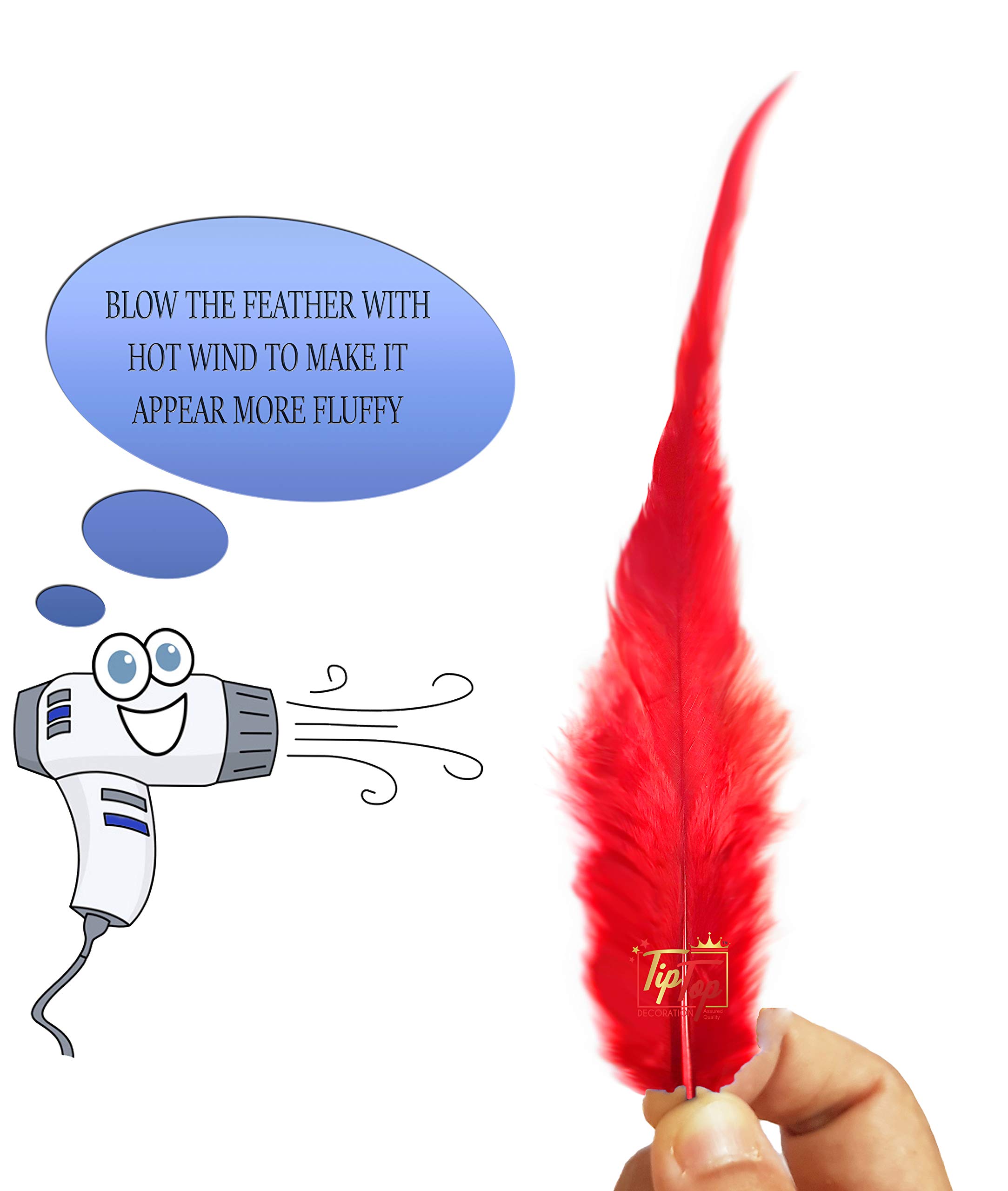 Tiptop Decoration Natural Dyed Pointed Feathers (10-15 Cm) (50 Pieces) (Blood Red) 1