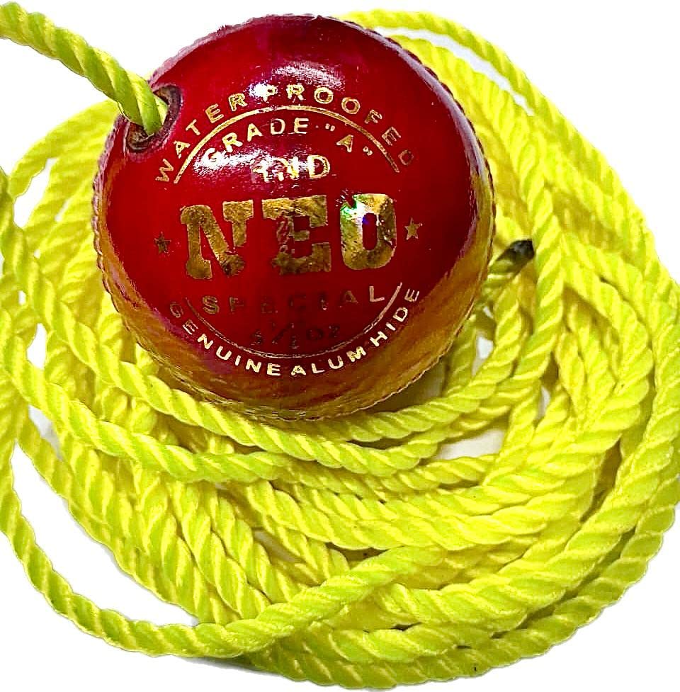 Neo Hanging Cricket Leather Ball_3.5 Meters (Pack of 1) (B0BNXQ2VBK) Amazon Price History, Amazon Price Tracker