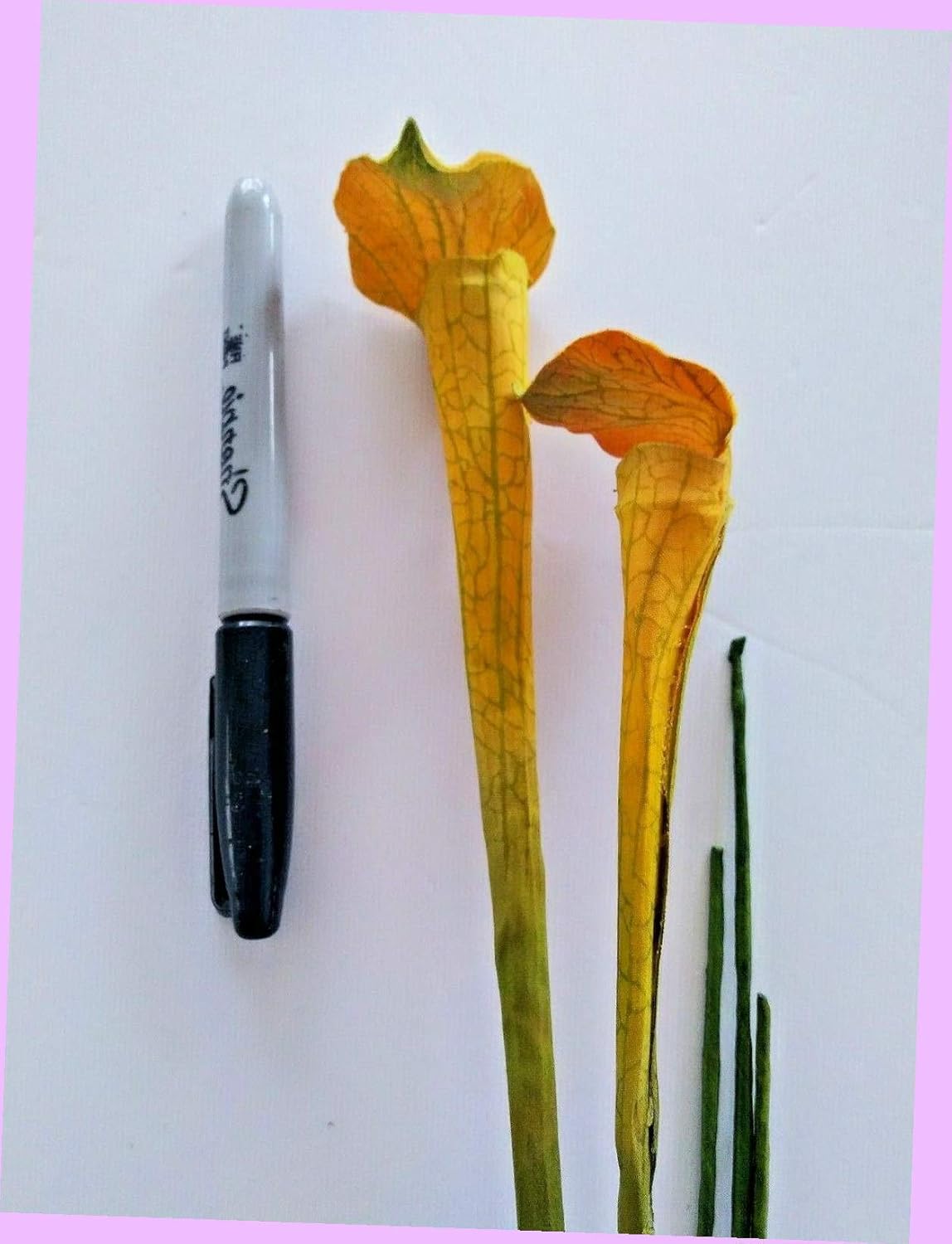 Artificial 21" Mini Yellow Pitcher Plant Stems Silk Floral Flowers Bouquet Realistic Flower Arrangements Craft Art Decor Plant for Party Home Wedding Decoration