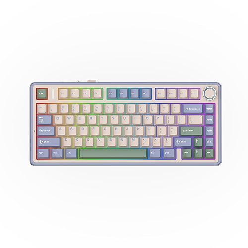 EPOMAKER x Aula F75 Gasket Mechanical Keyboard, 75% Wireless Hot Swappable Gaming Keyboard with Five-Layer Padding&Knob, BT/2.4GHz/USB-C, RGB (Green, LEOBOG Reaper Switch)