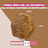 Ver la foto 5