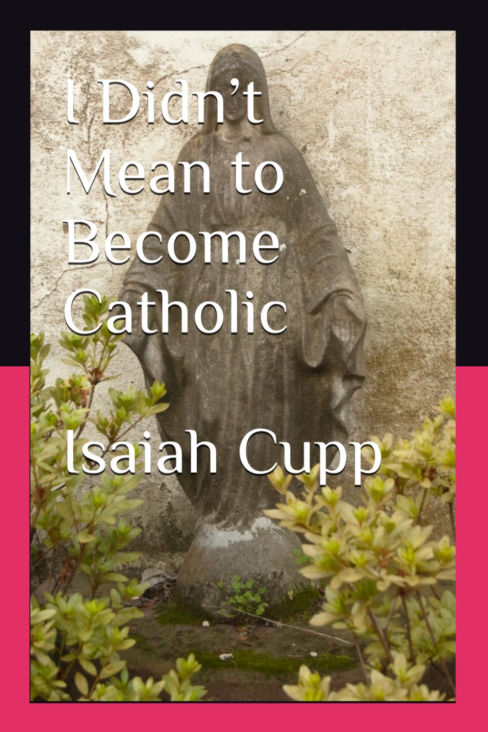 I Didn’t Mean to Become Catholic