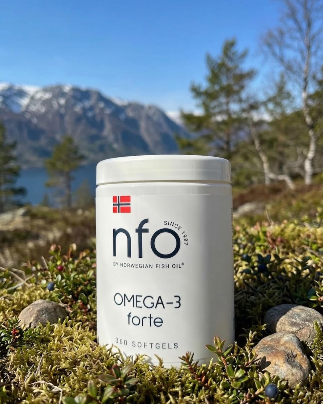 NFO OMEGA 3 FORTE [360 Kapseln] Norwegische Fischöl Omega 3 Kapseln hochdosiert, Fischöl Kapseln EPA & DHA als Ethylester & Vitamin E, Omega 3 Öl Komplex hochdosiert aus frisch Wildfisch