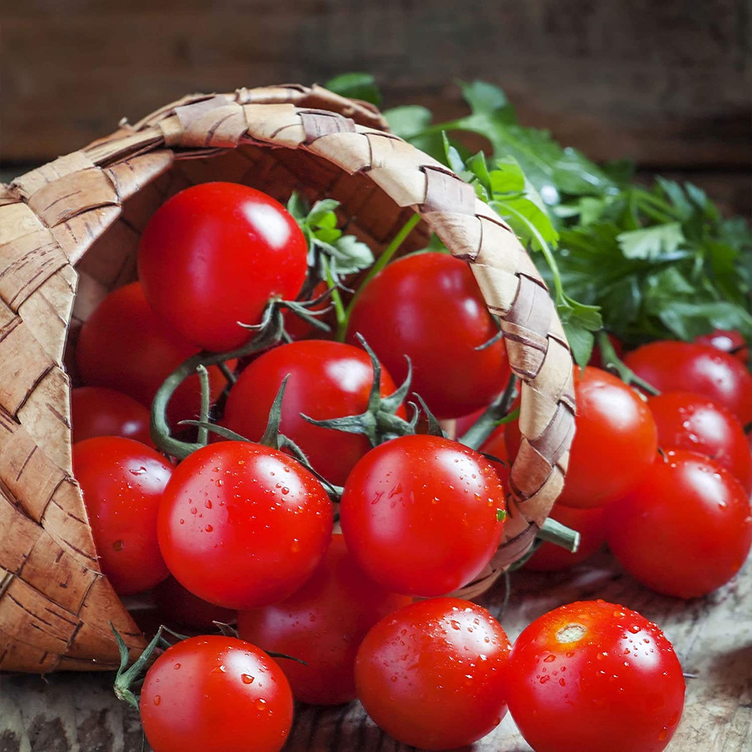 ARKA Abhed Tomato Seeds - 50 Seeds.