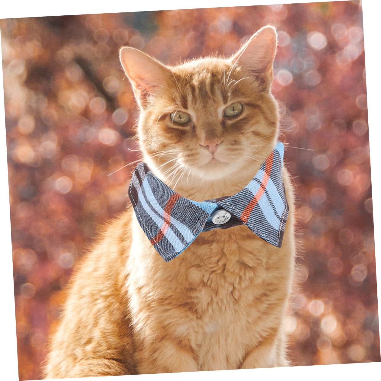 POPETPOP Lot De 5 Colliers pour Chat À Carreaux Chics avec Clochettes Réglables Et Sécuritaires Accessoire Quotidien Et De Fête 2 Pièces X 5