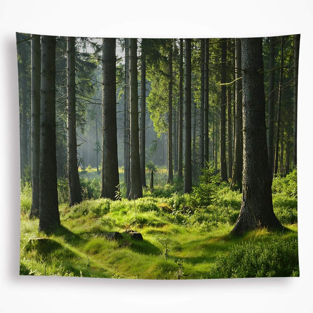 VAKADO Forest Green Tapestry for Bedroom Aesthetic Nature Tree Tapestries Wall Hanging Wall Art Covering Decorations Décor for Living Room Dorm 51"x59"