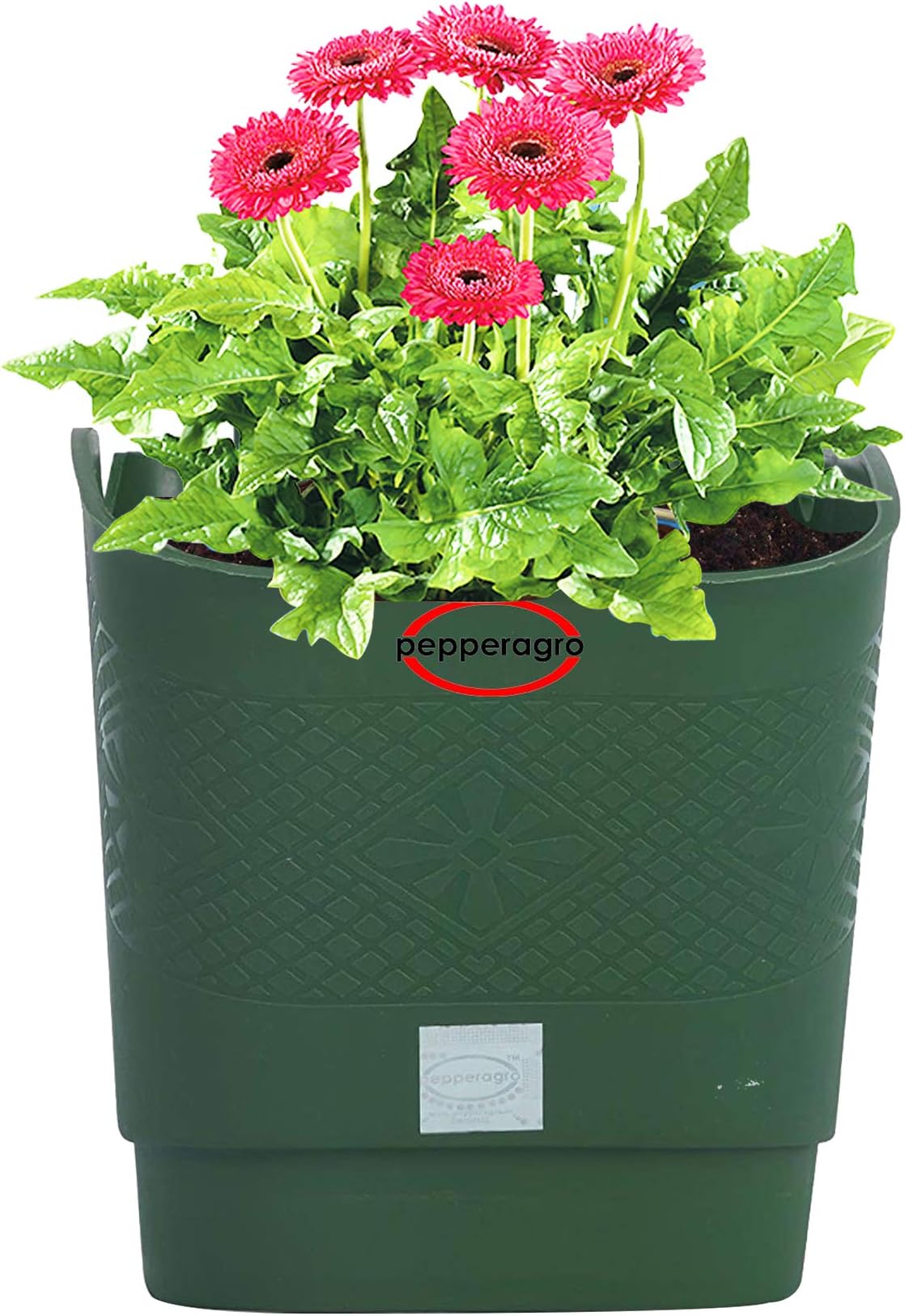 Pepper Agro Flower Pots Vertical Garden Wall Hanging Planter Green Set of 12