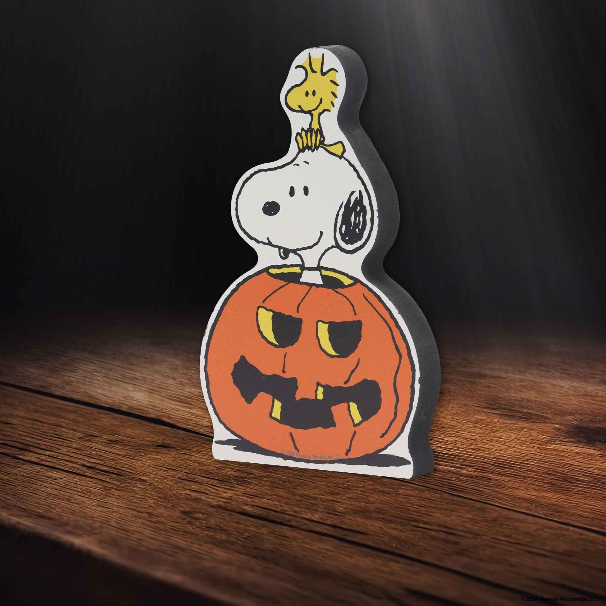 Amazon.com: Open Road Brands Peanuts Snoopy and Woodstock Jack-O